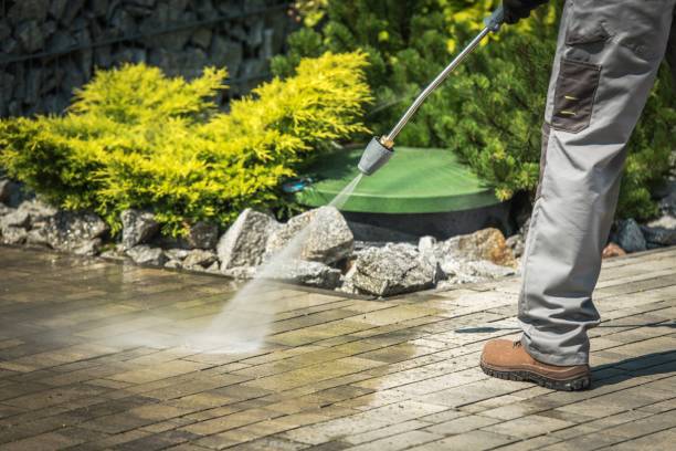 Best Boat and Dock Cleaning  in Shrub Oak, NY