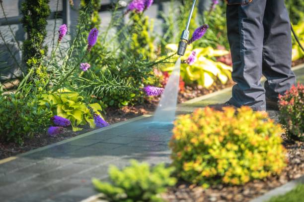 Best Pre-Holiday Cleaning  in Shrub Oak, NY