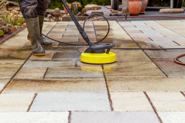 Best Animal Enclosure Cleaning  in Shrub Oak, NY